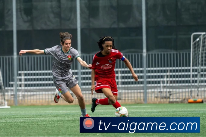 松松篮球带你领略篮球魅力与技巧提升的完美结合，开启你的篮球之旅